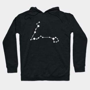 Pisces Zodiac Constellation in White Hoodie